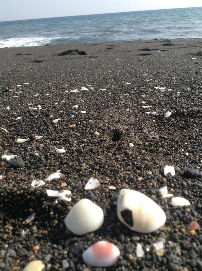 El Arrecife Martin Pescador Apart otel Taxisco Dış mekan fotoğraf
